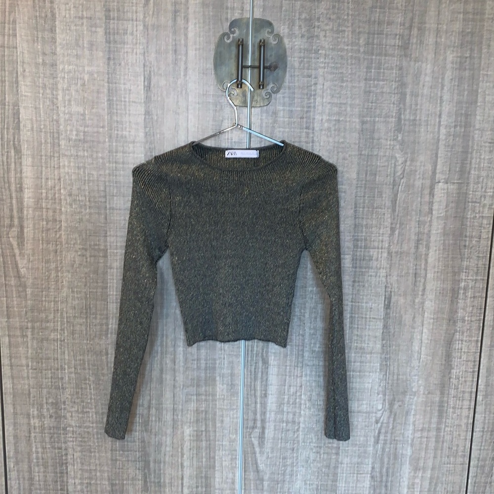 Zara‎ - Metallic Thread Knit Cropped Top